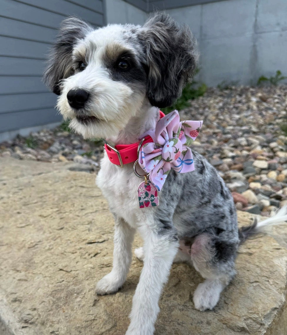 Berry Patch Dog Flower Bow Tie