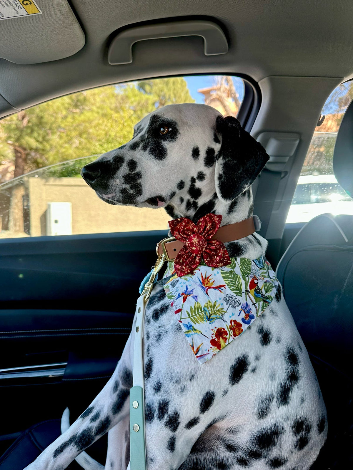 Red Merry Noel Dog Flower Bow Tie