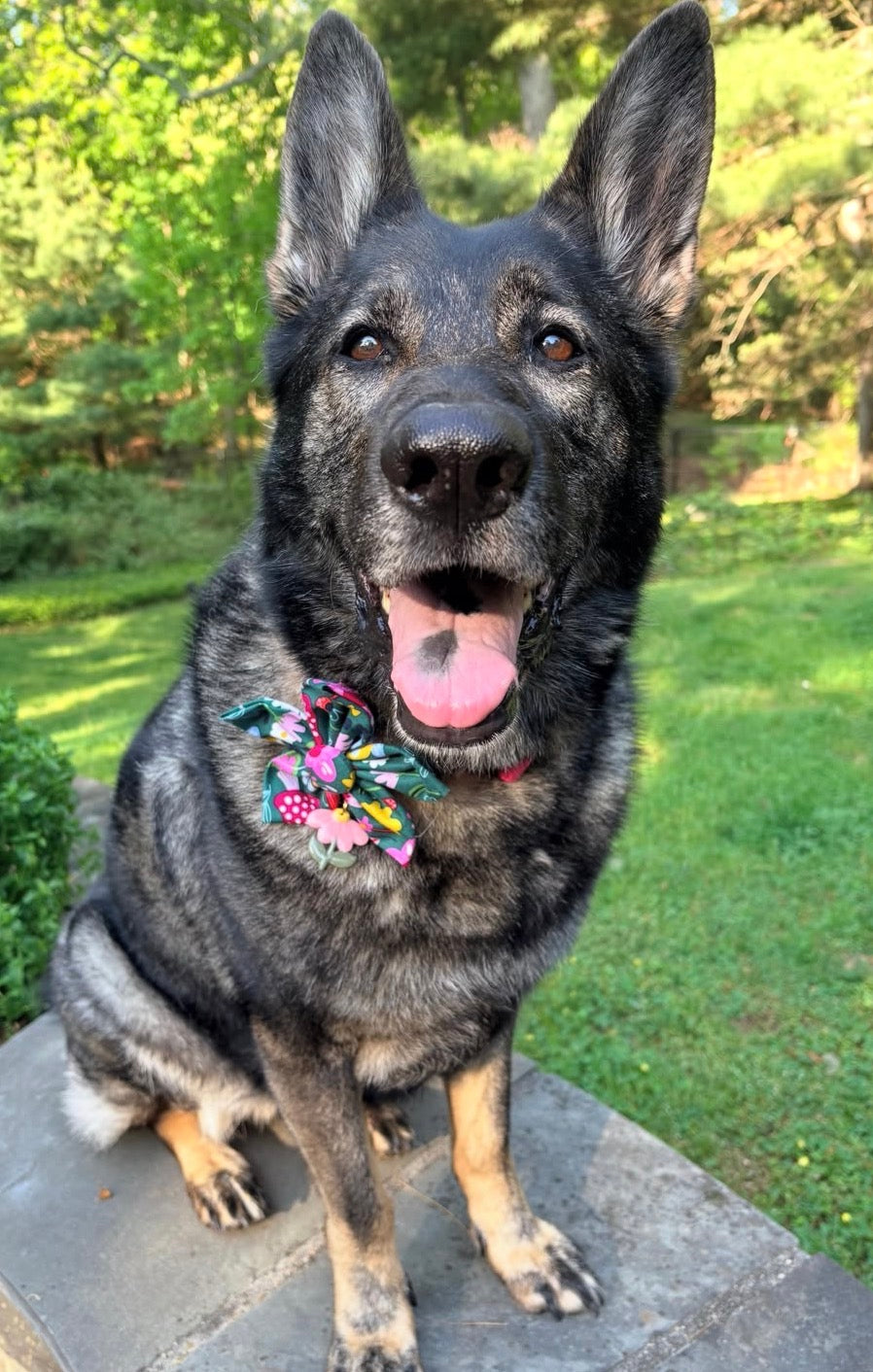 Woodland Floral Dog Flower Bow Tie