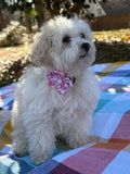 Pink Gingham Dog Flower Bow Tie