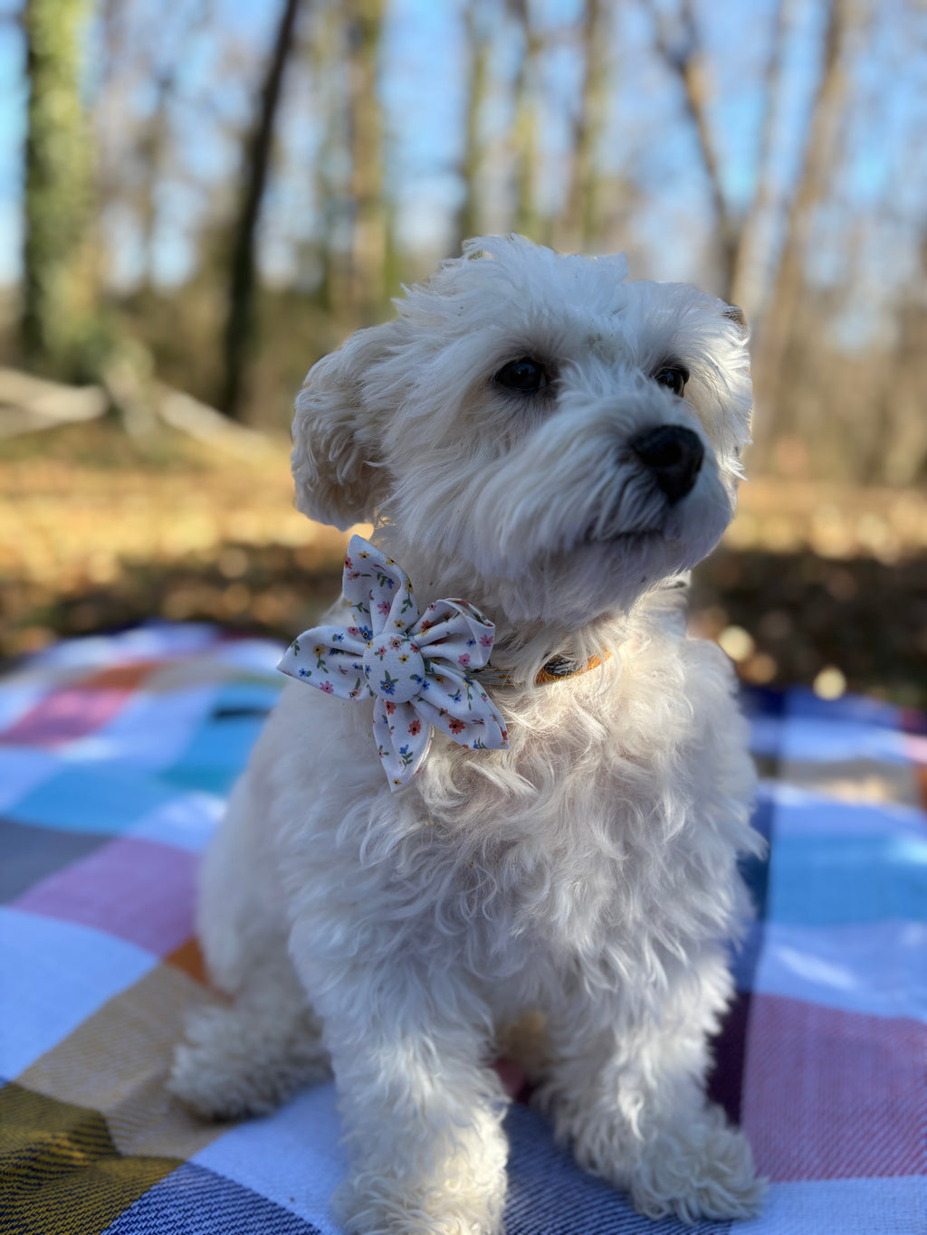 Little Flowers Dog Flower Bow Tie