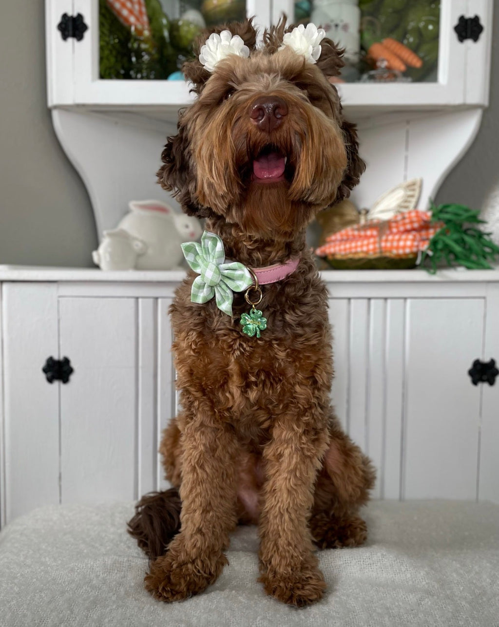 Green Gingham Dog Flower Bow Tie