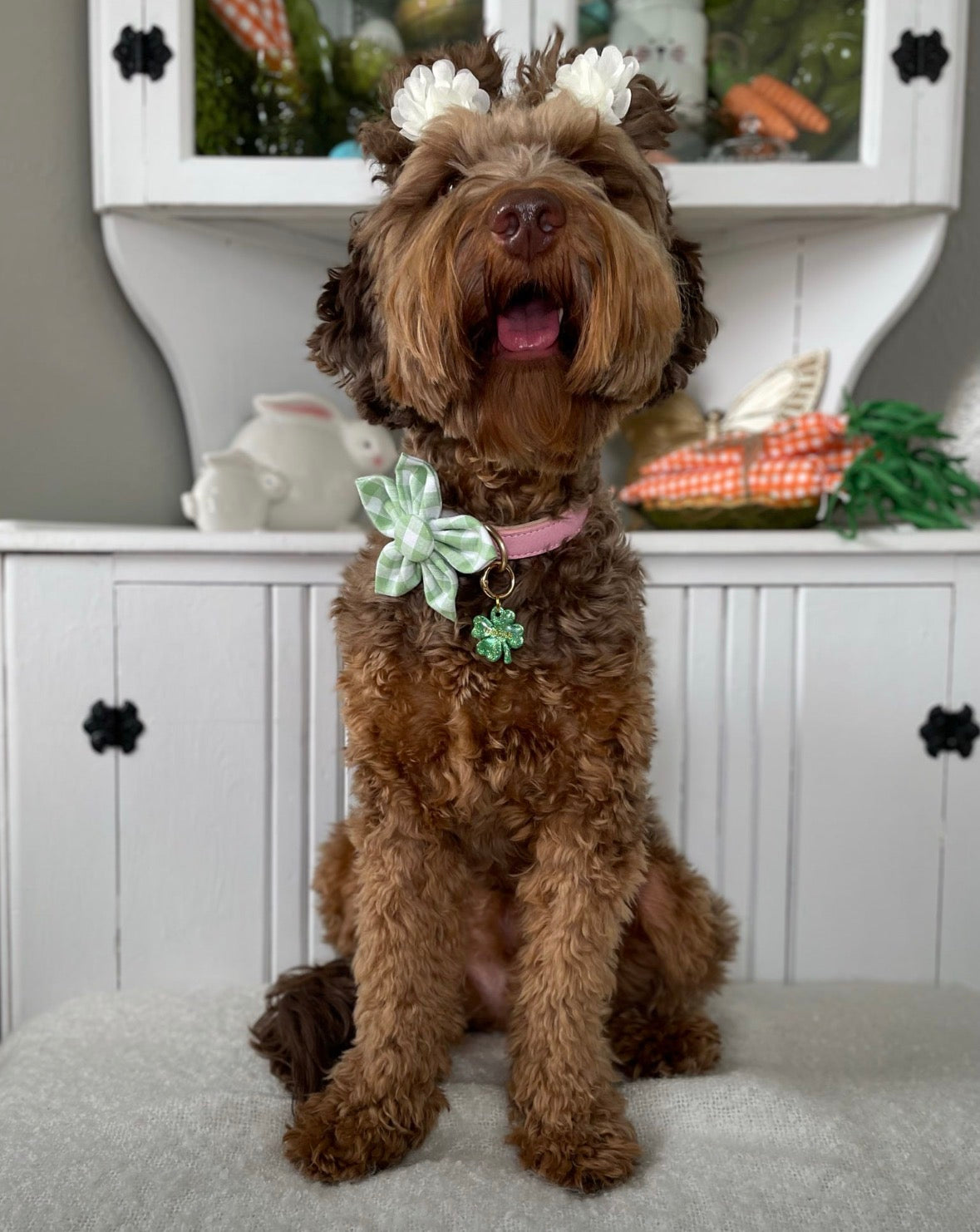 Green Gingham Dog Flower Bow Tie