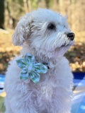 Green Gingham Dog Flower Bow Tie