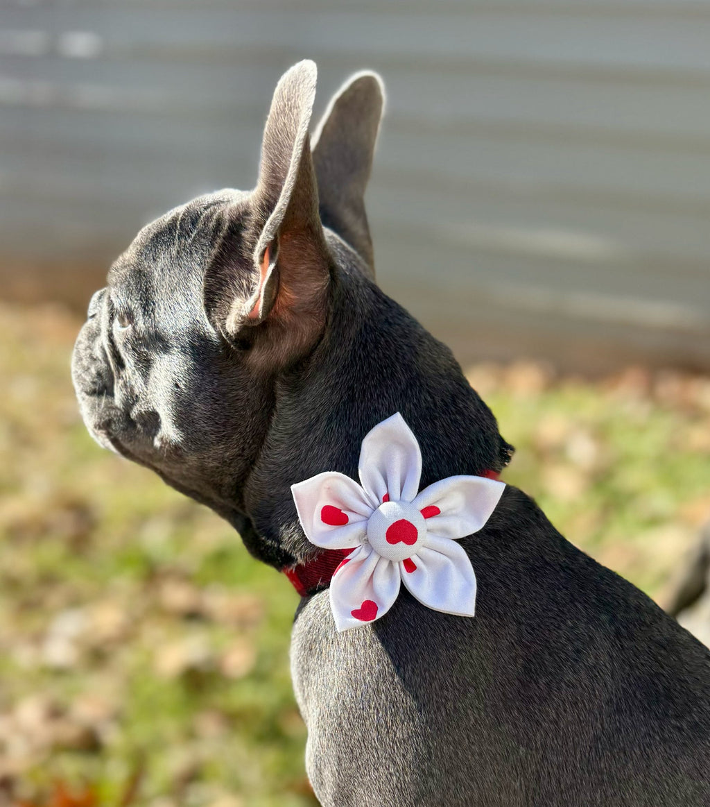 Red Heart Dog Flower Bow Tie