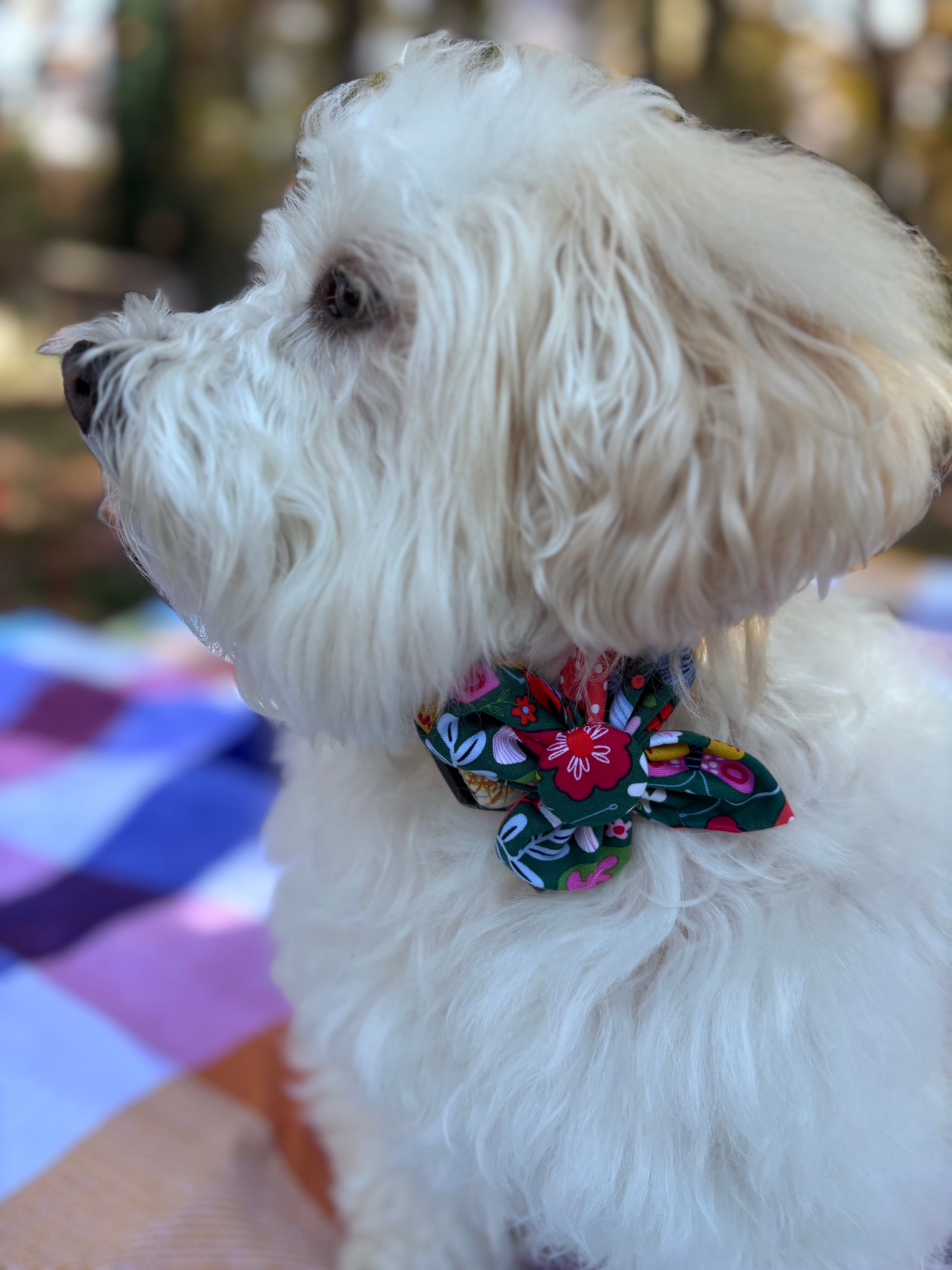 Woodland Floral Dog Flower Bow Tie