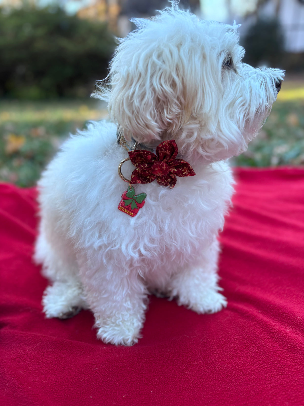 Red Merry Noel Dog Flower Bow Tie