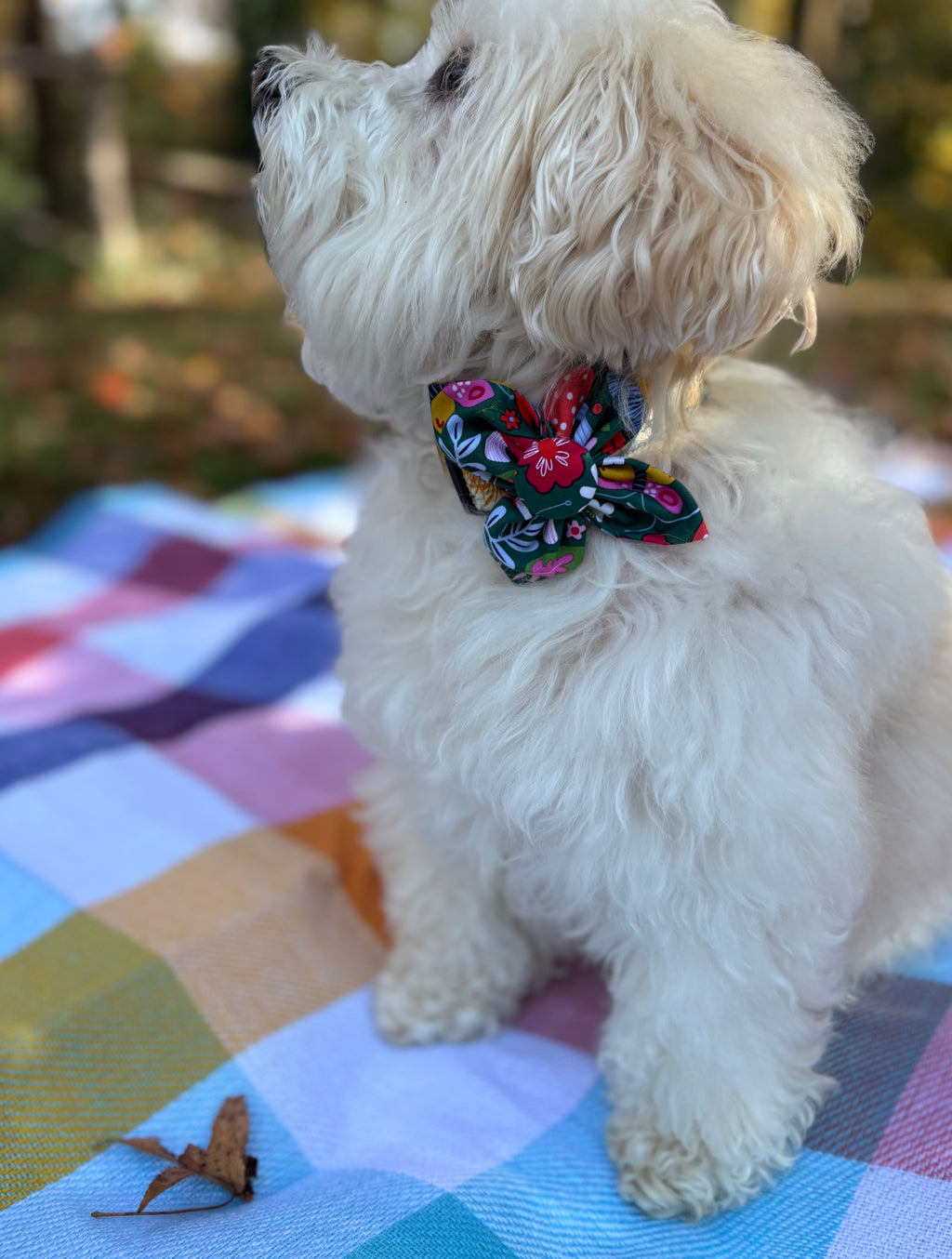 Woodland Floral Dog Flower Bow Tie