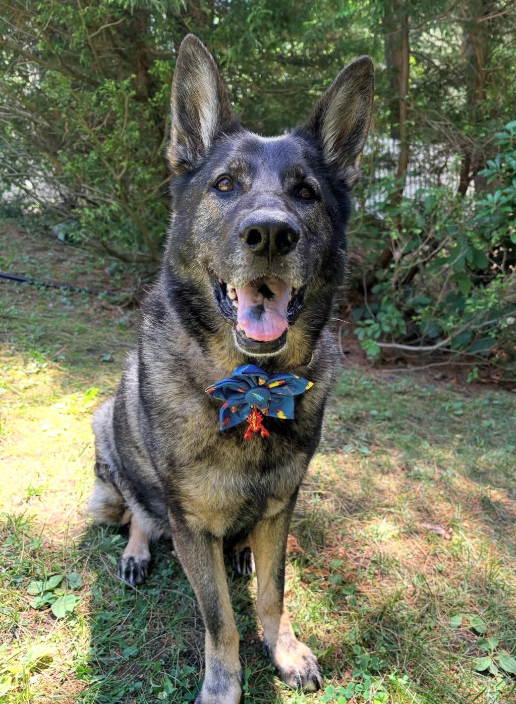 Fathers Day Fishing Dog Flower Bow Tie