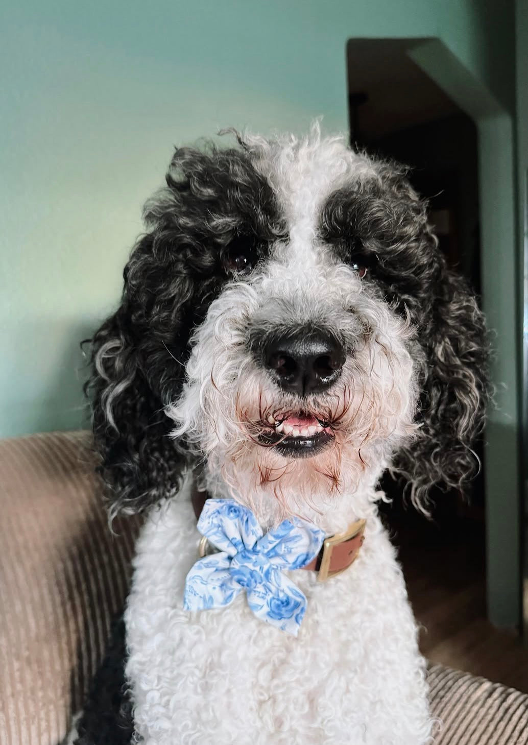 Mothers Day Blue Floral Dog Flower Bow Tie