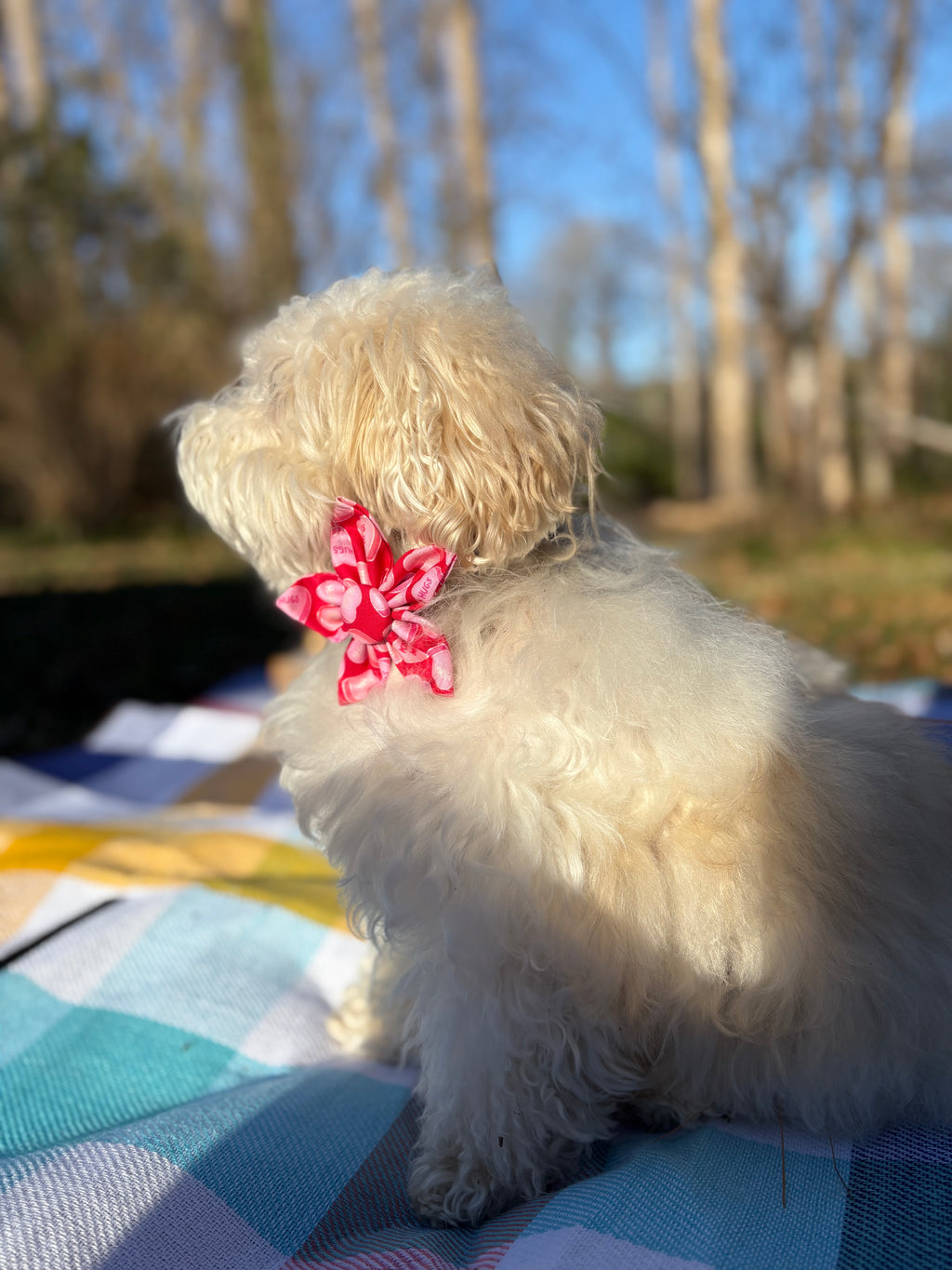 Candy Heart Dog Flower Bow Tie
