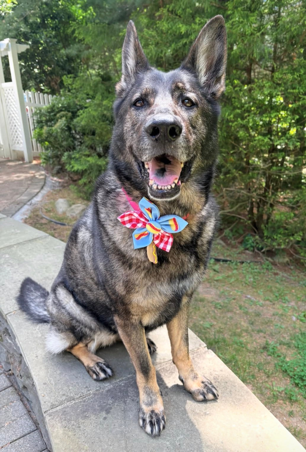 Mix and Match 4th of July Hot Dog Flower Bow Tie