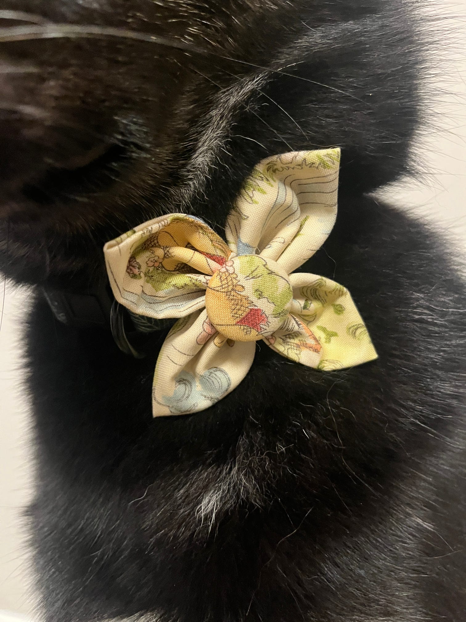 Mystery Dog Bow Tie