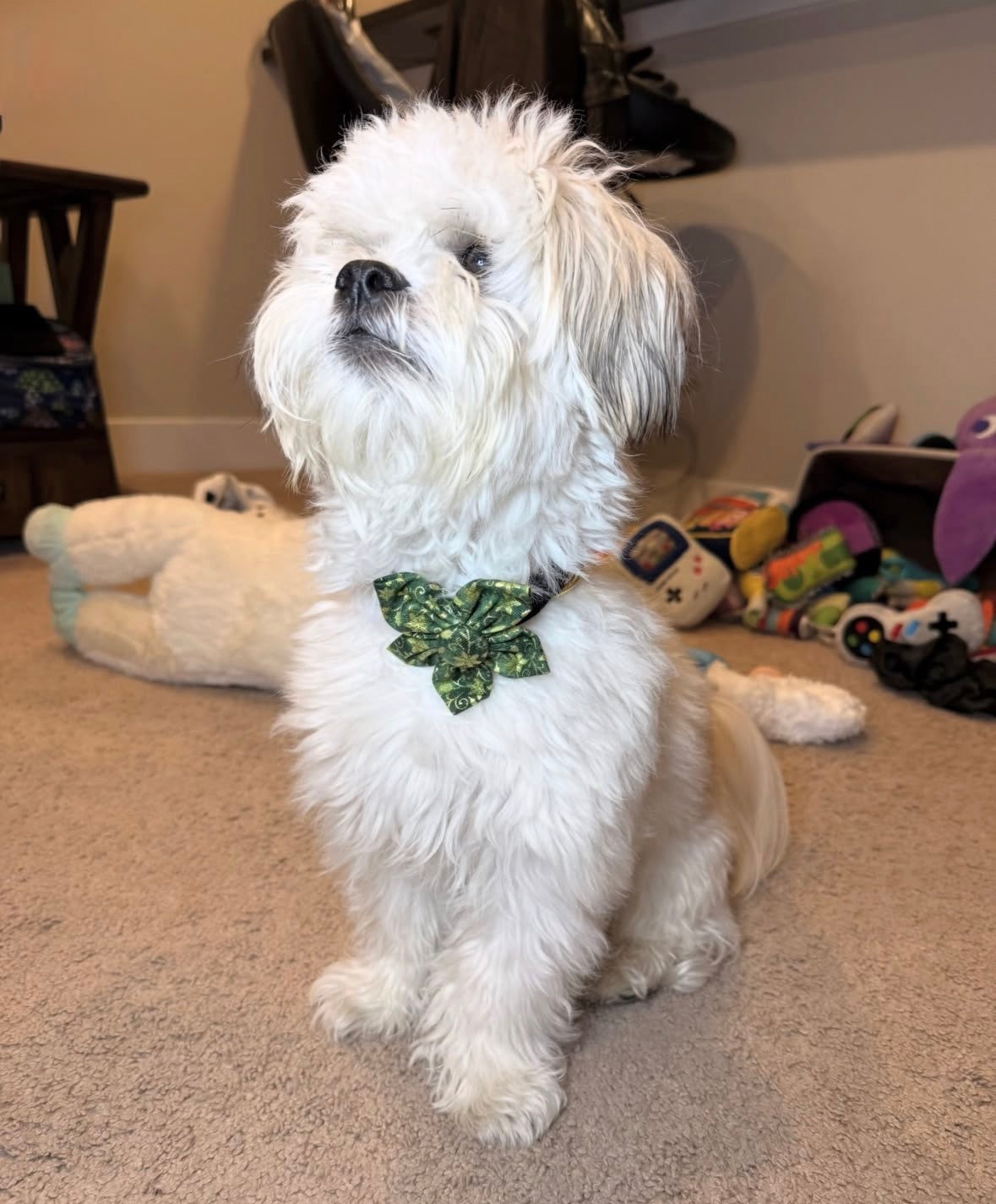 Green Merry Noel Dog Flower Bow Tie
