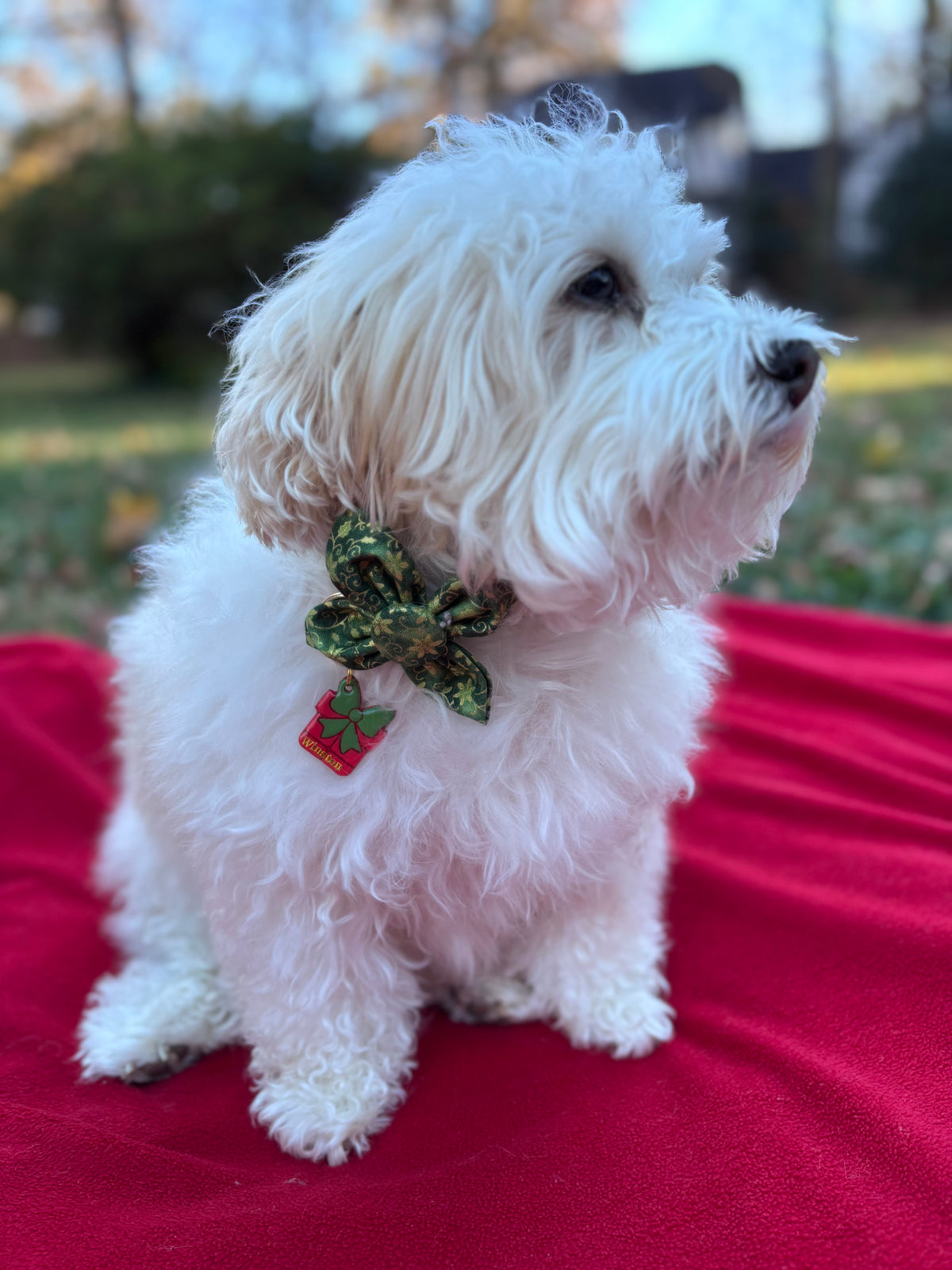 Green Merry Noel Dog Flower Bow Tie