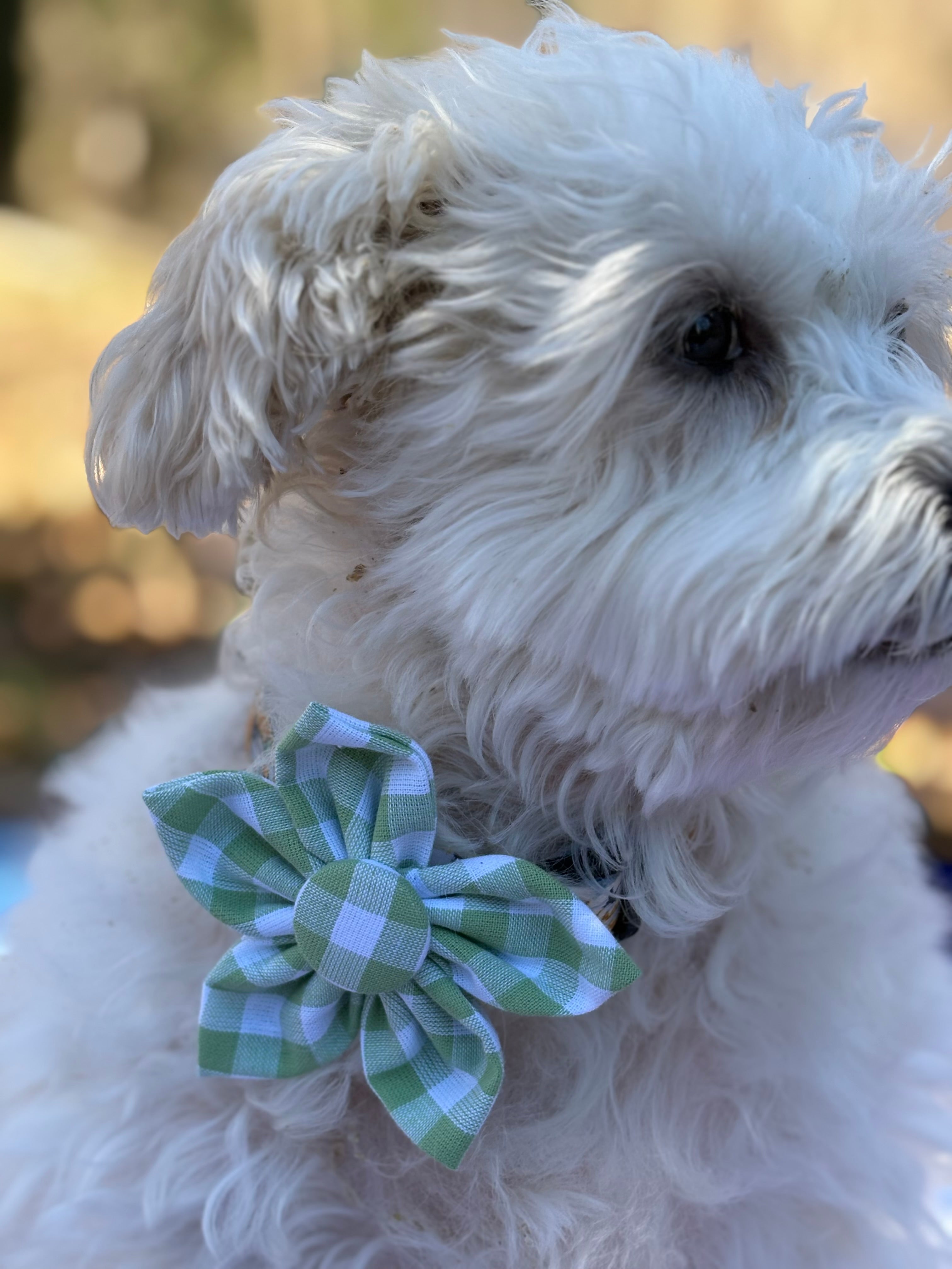 Green Gingham Dog Flower Bow Tie
