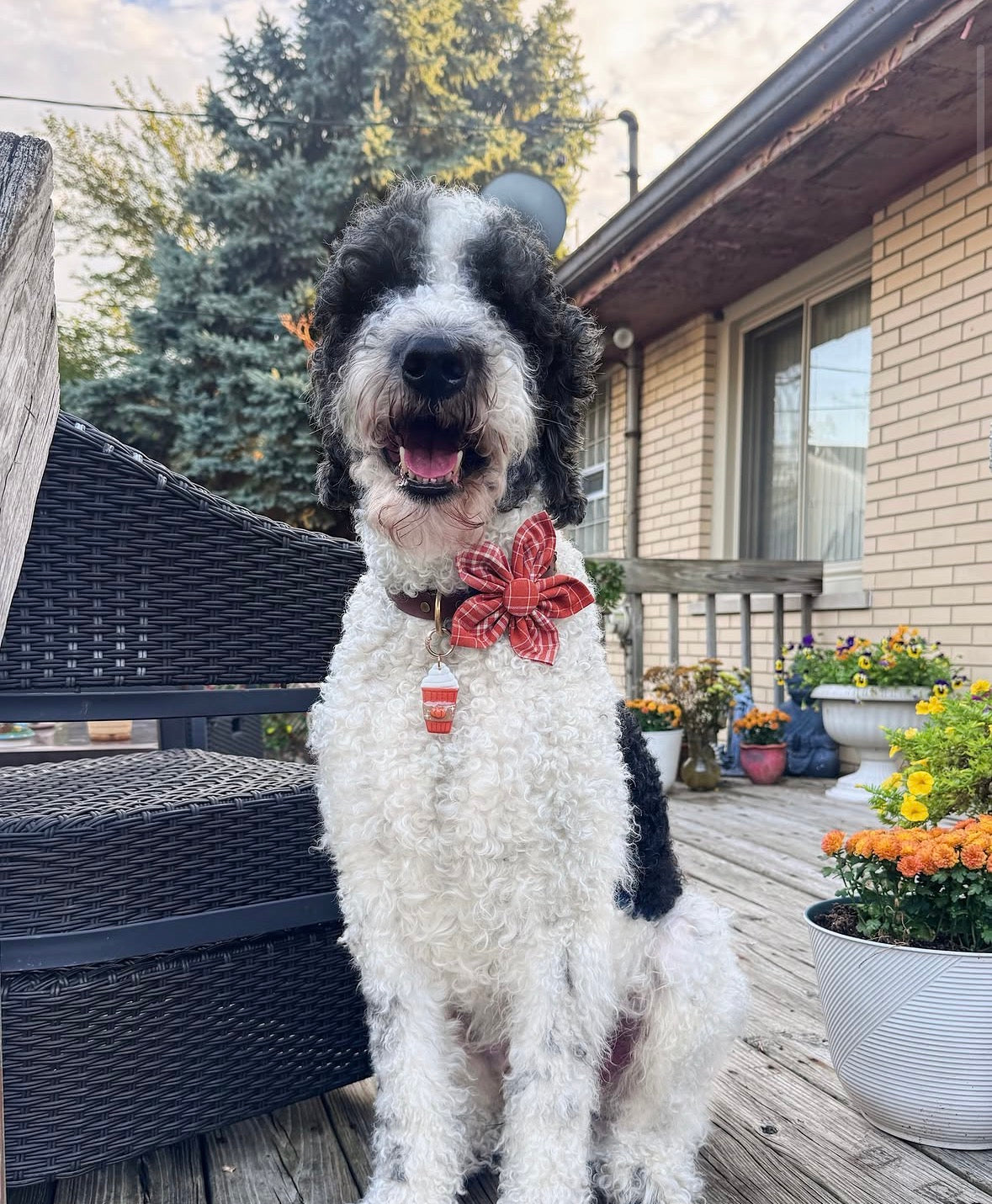 Fall Plaid Dog Flower Bow Tie