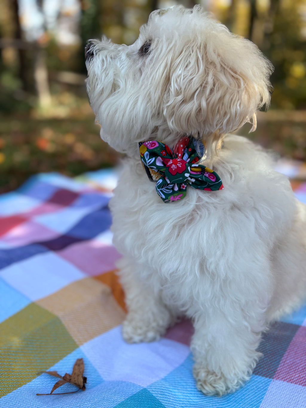 Woodland Floral Dog Flower Bow Tie