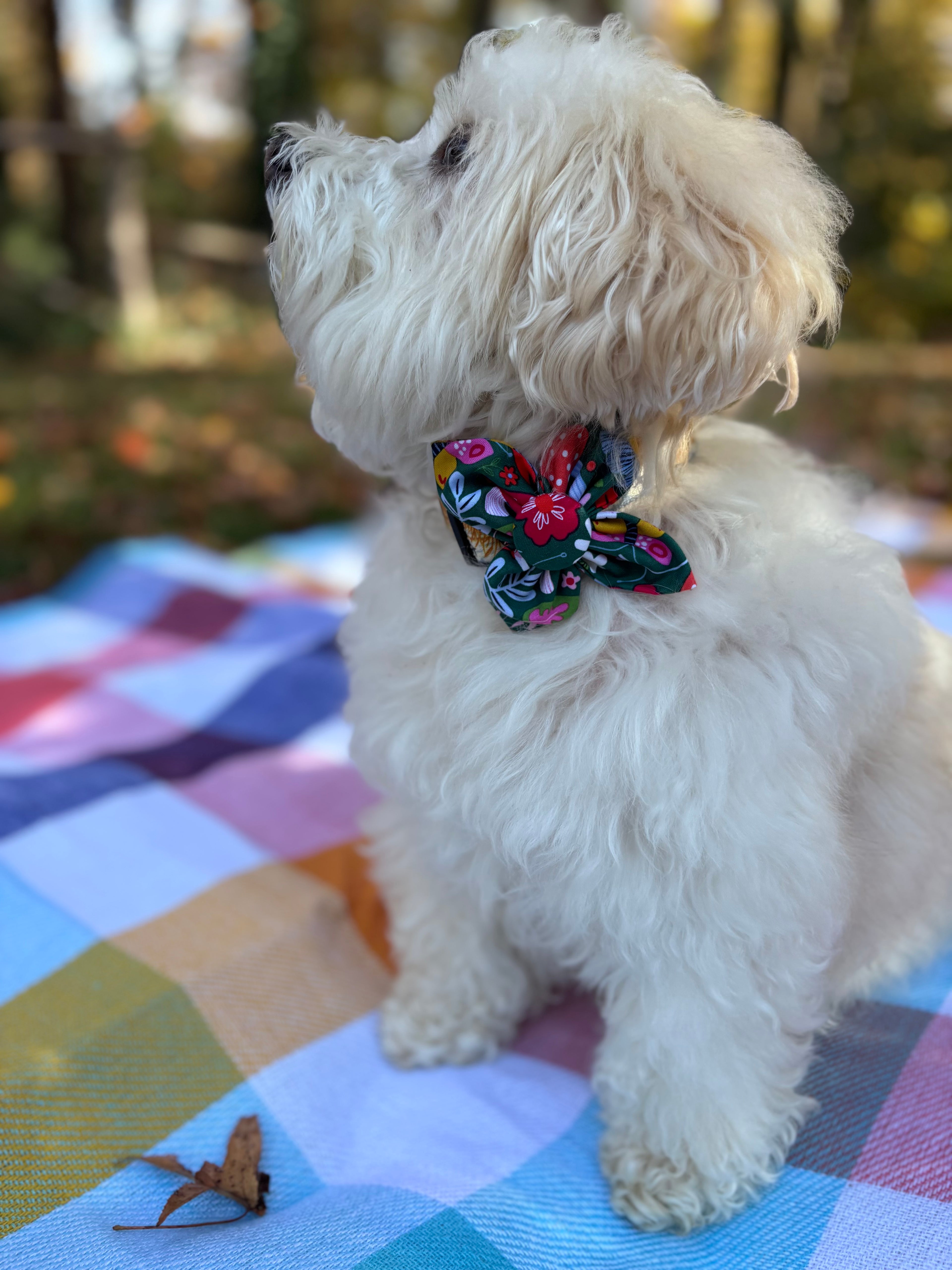 Woodland Floral Dog Flower Bow Tie