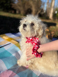Candy Heart Dog Bow Tie and Scrunchie Set