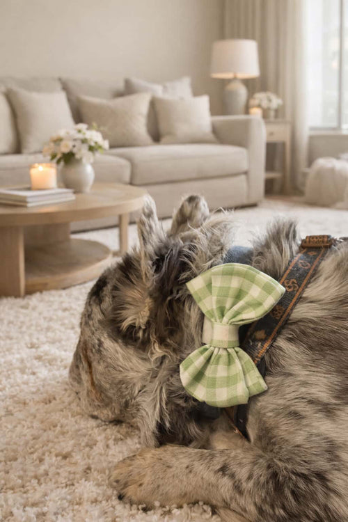 Eroz’s Couture Bow