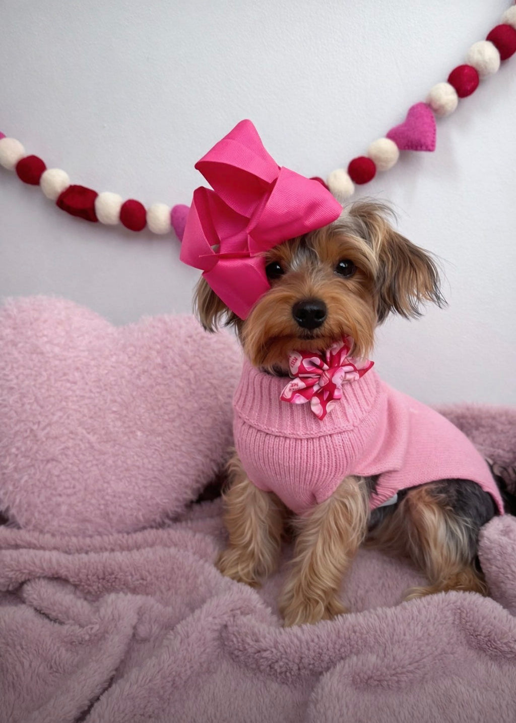 Candy Heart Dog Flower Bow Tie