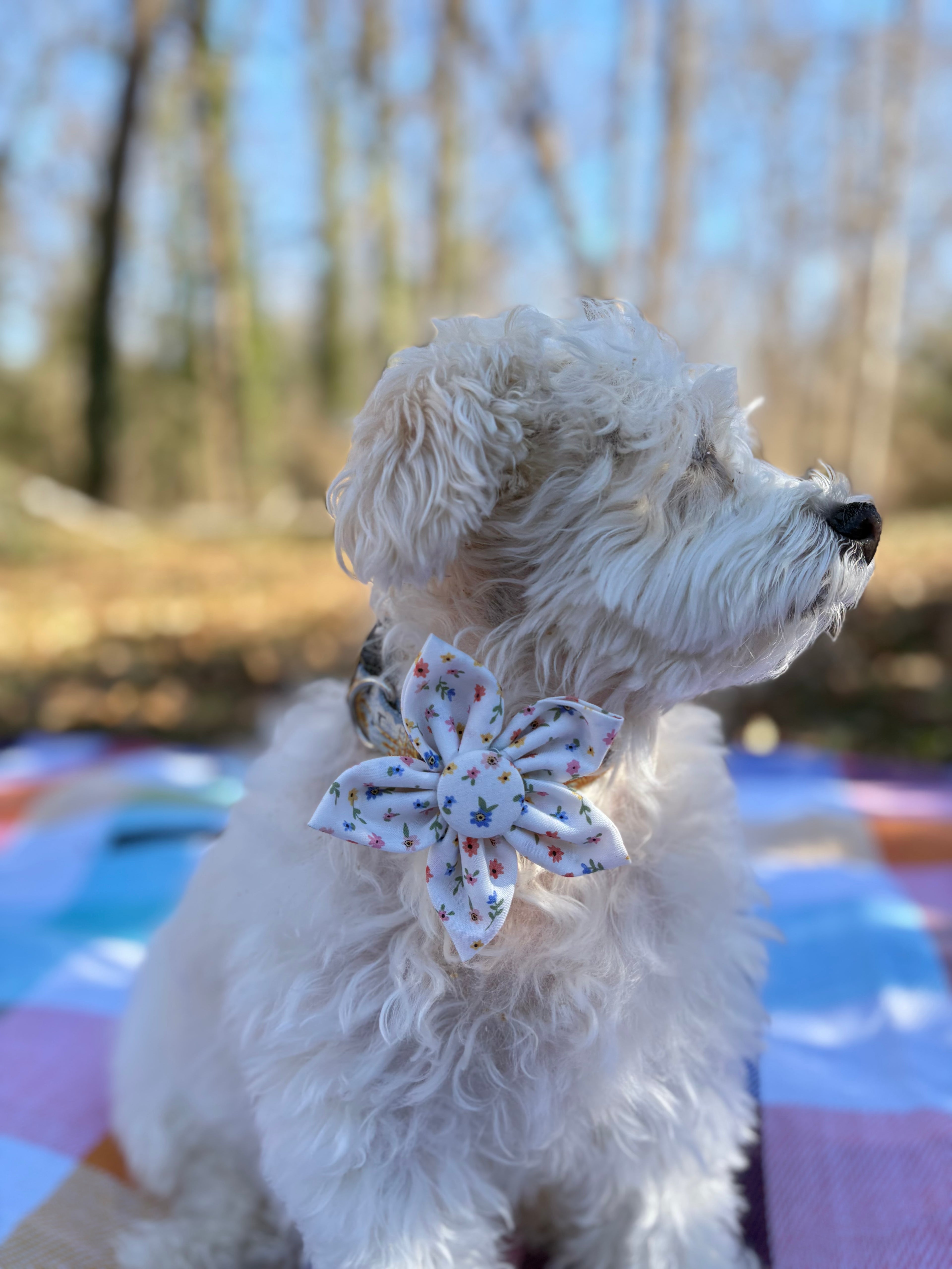 Little Flowers Dog Flower Bow Tie
