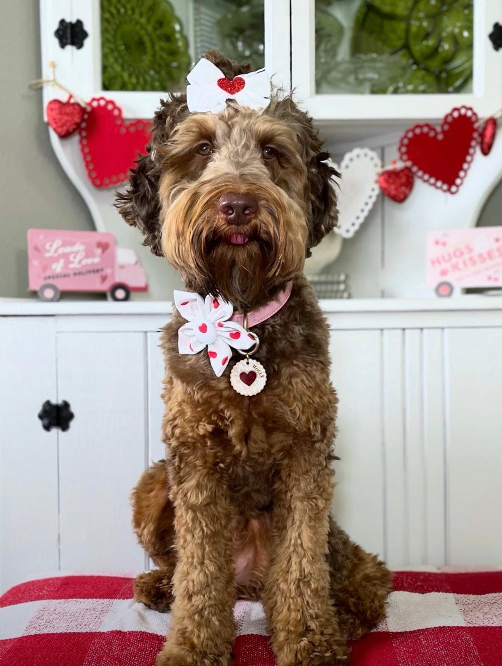 Red Heart Dog Flower Bow Tie