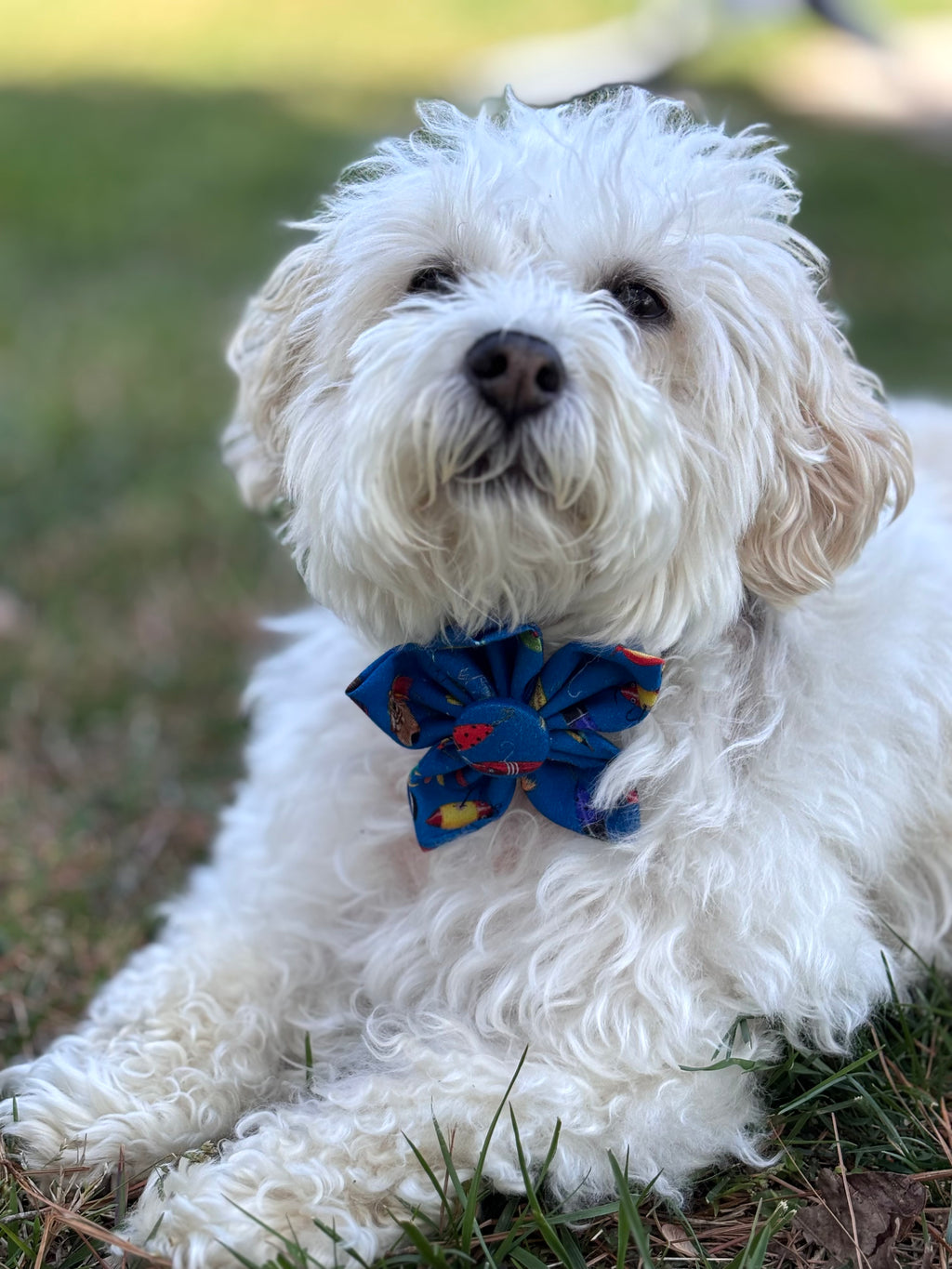 Fathers Day Fishing Dog Flower Bow Tie