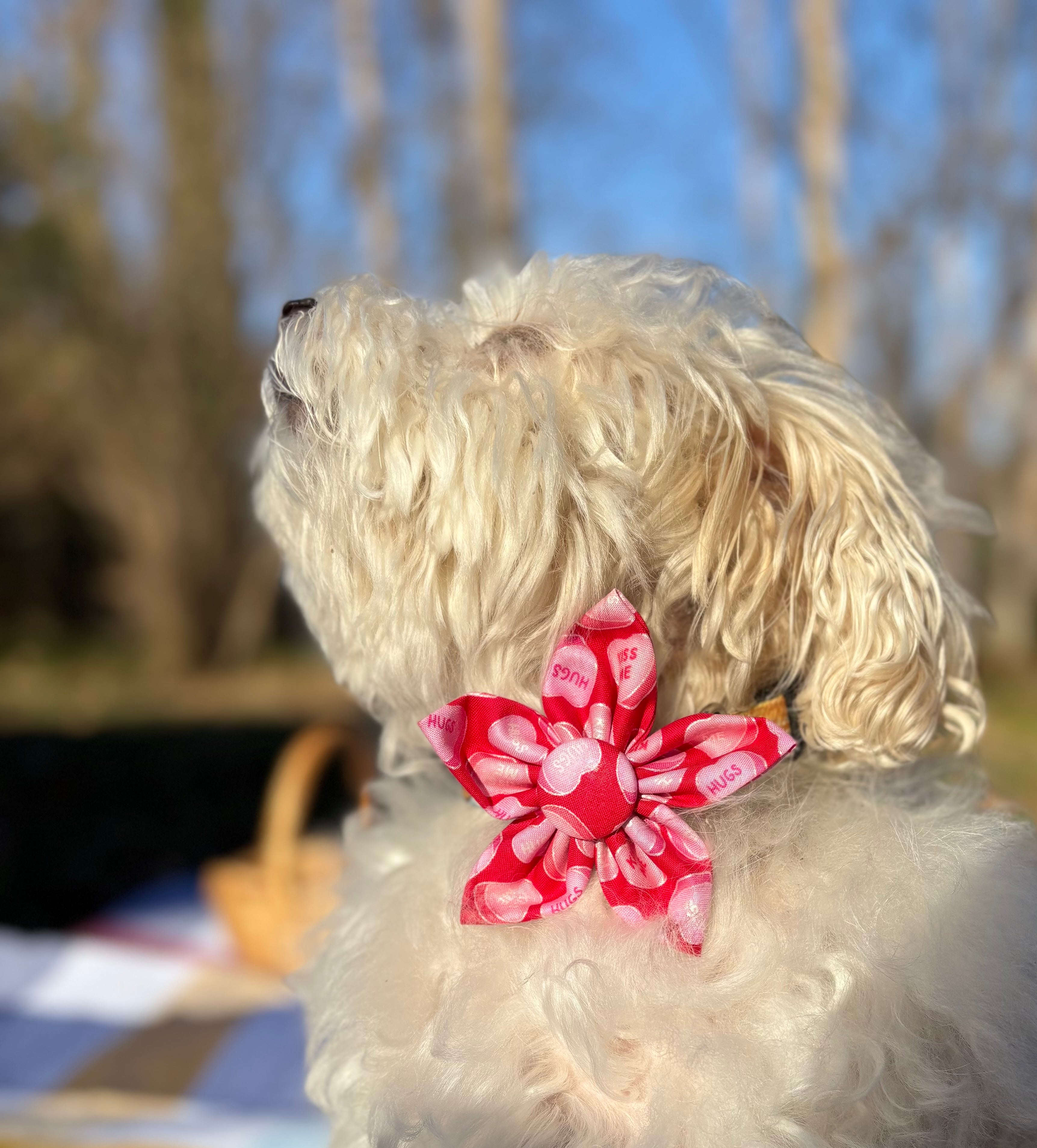 Candy Heart Dog Flower Bow Tie