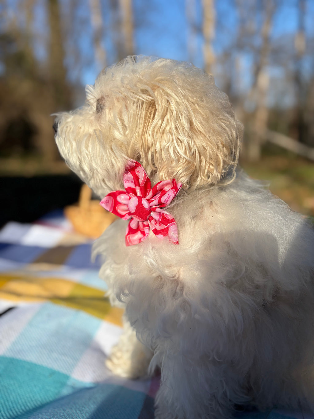 Candy Heart Dog Flower Bow Tie