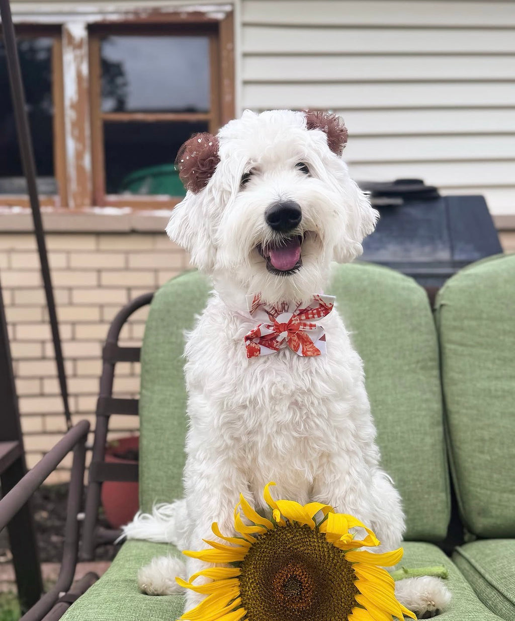 Fall Bows Dog Flower Bow Tie and Scrunchie Set