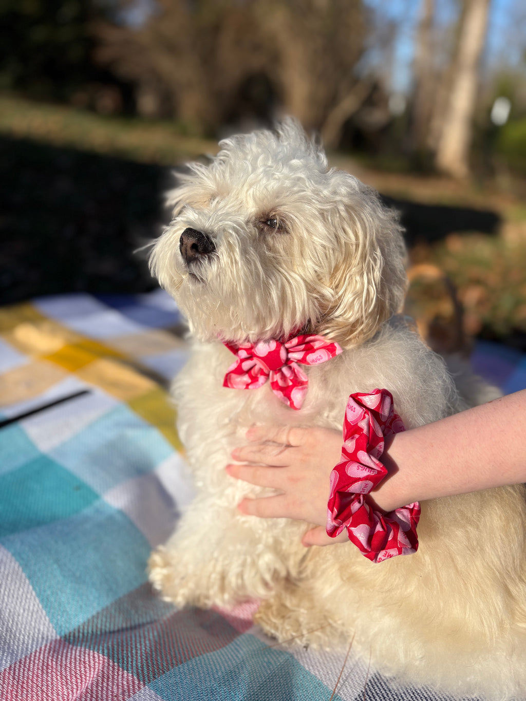 Candy Heart Dog Bow Tie and Scrunchie Set