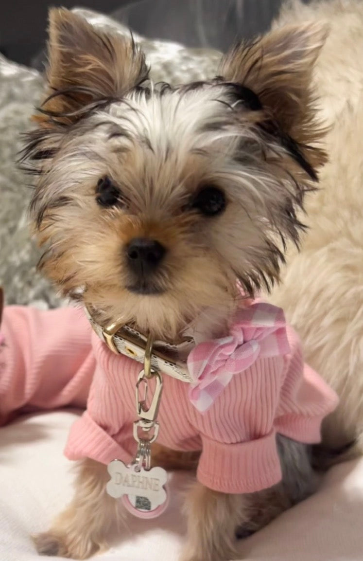 Pink Gingham Dog Flower Bow Tie