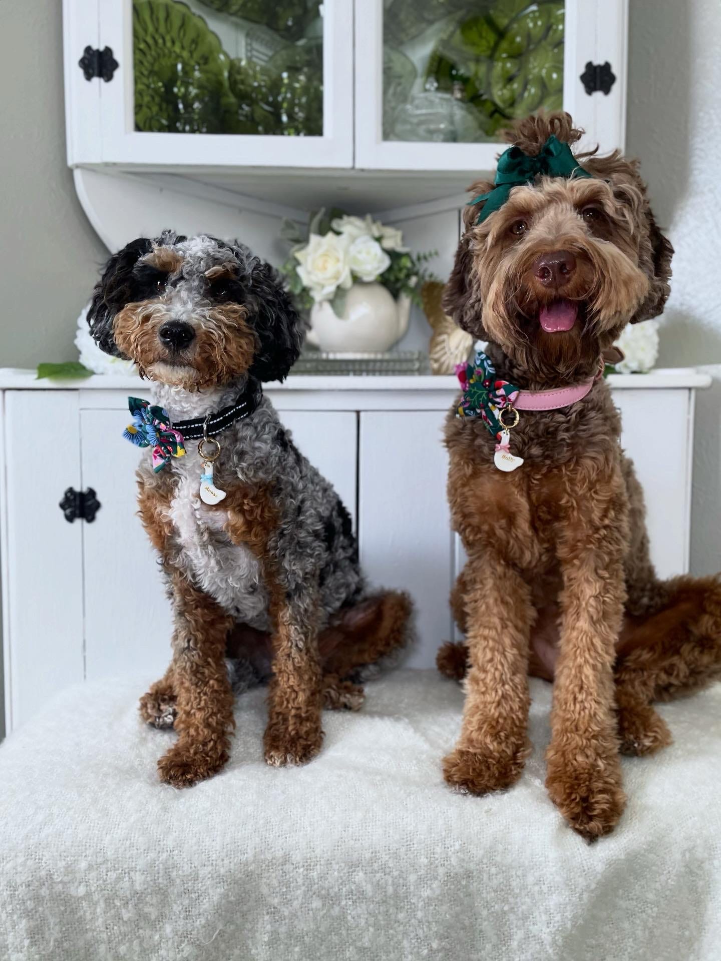 Woodland Floral Dog Flower Bow Tie