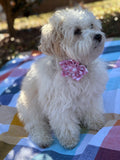 Pink Gingham Dog Flower Bow Tie